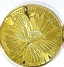BRADOC Wrée Zębuszka cushion coin