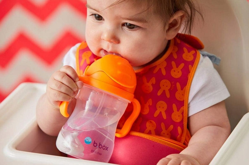 B.BOX Sippy Cup ποτηράκι που δεν στάζει 240 ml 6 m+