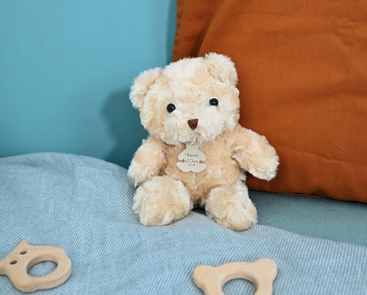HISTOIRE d'OURS pluchen knuffel BEER 21 cm