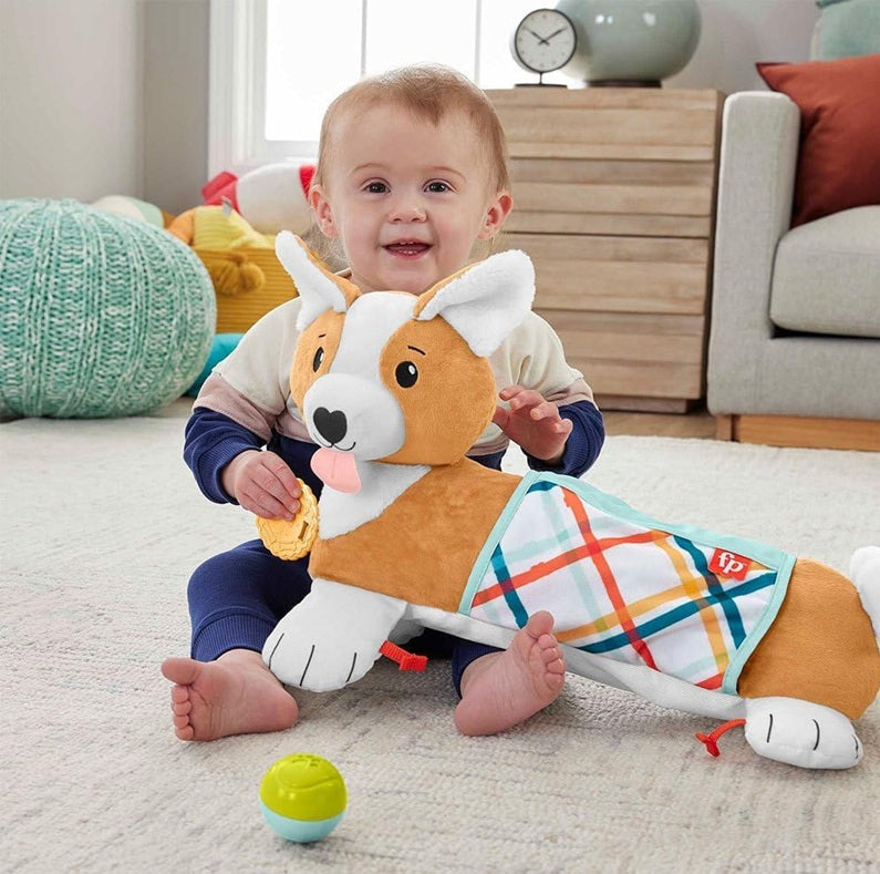 FISHER-PRICE HJW10 psík na hranie na brušku 29,2 x 43,2 cm
