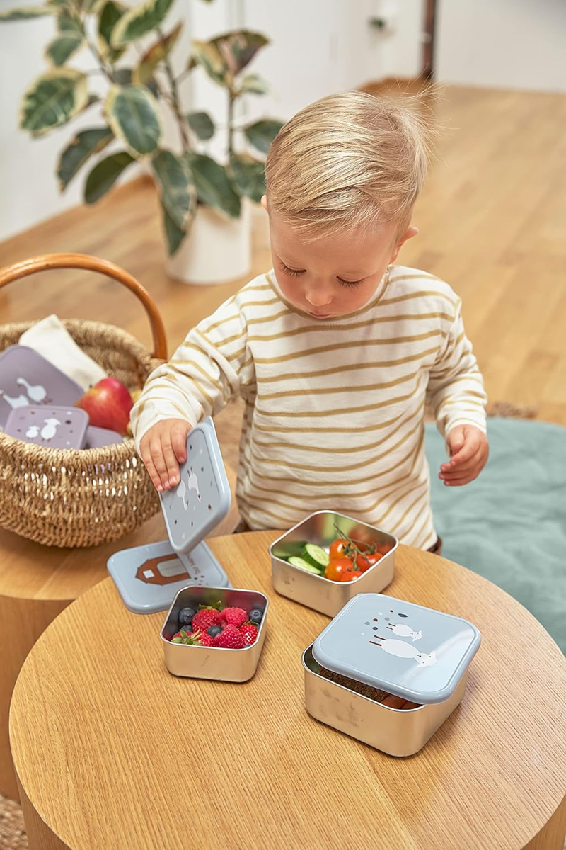 LASSIG Snackbox Ανοξείδωτο SNACKBOXEN 3 τεμ.