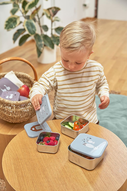 LASSIG Snackbox Ανοξείδωτο SNACKBOXEN 3 τεμ.