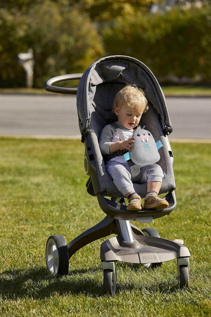 FISHER-PRICE Φώκιες Χαλάρωσης λούτρινο ζωάκι με μελωδίες και δονήσεις ΦΩΚΙΑ 17 εκ.