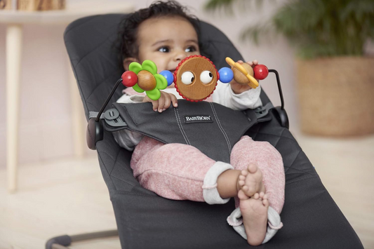 BABYBJORN arco de juguetes para hamaca