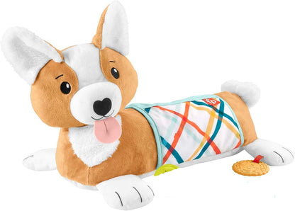 FISHER-PRICE HJW10 psík na hranie na brušku 29,2 x 43,2 cm