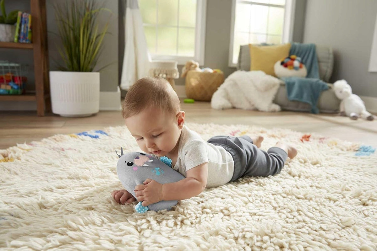 FISHER-PRICE Φώκιες Χαλάρωσης λούτρινο ζωάκι με μελωδίες και δονήσεις ΦΩΚΙΑ 17 εκ.