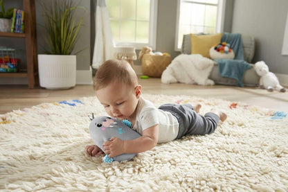 FISHER-PRICE Φώκιες Χαλάρωσης λούτρινο ζωάκι με μελωδίες και δονήσεις ΦΩΚΙΑ 17 εκ.
