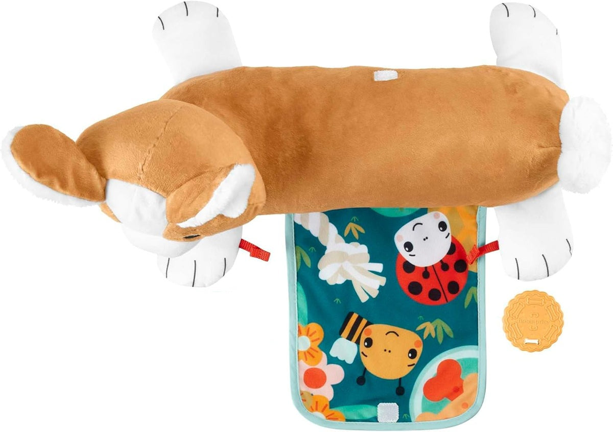 FISHER-PRICE HJW10 psík na hranie na brušku 29,2 x 43,2 cm