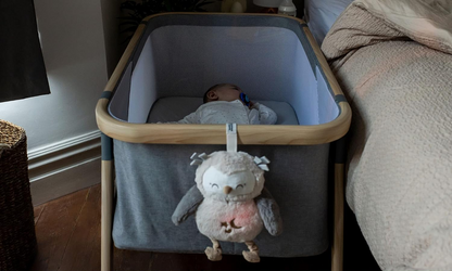 TOMMEE TIPPEE Bufnița Ollie Deluxe JUCĂRIE DE ALINTATĂ, lampă cu sunete