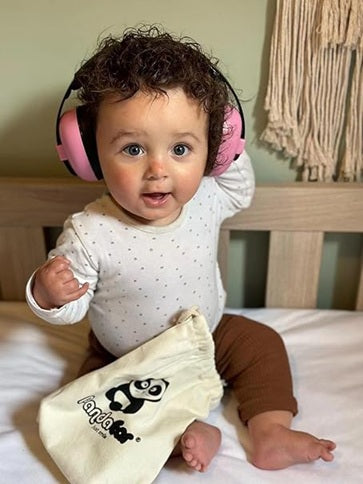 PANDAEAR noise-cancelling headphones + case