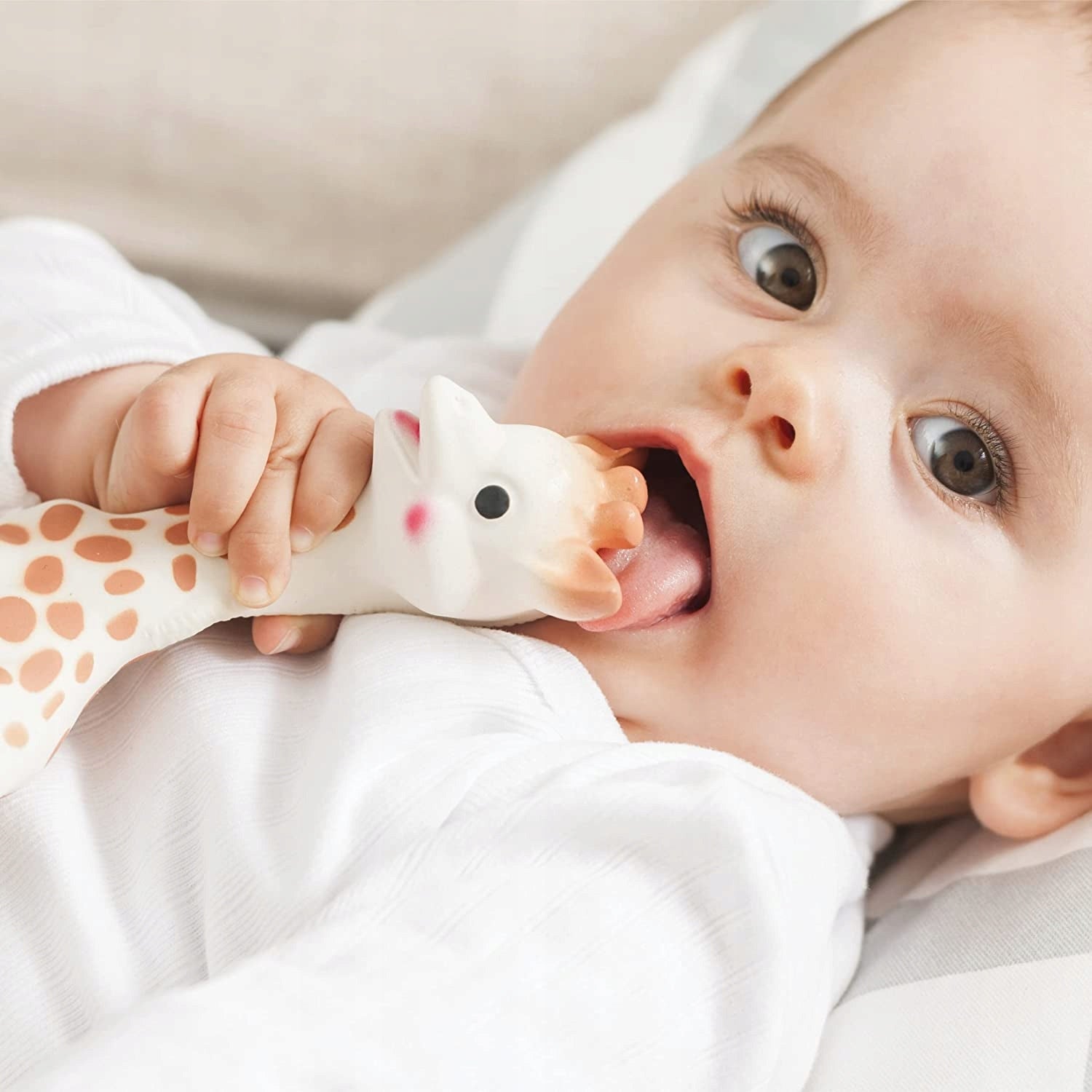 ŻYRAFA SOPHIE zestaw gryzak naturalny SO PURE 18CM + mniejszy