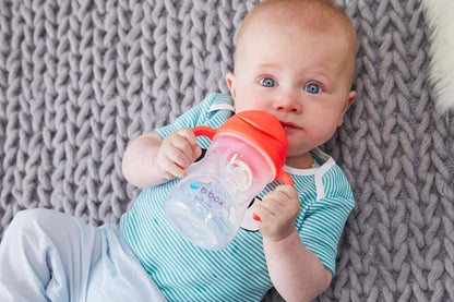 B.BOX Sippy Cup ποτηράκι που δεν στάζει 240 ml 6 m+