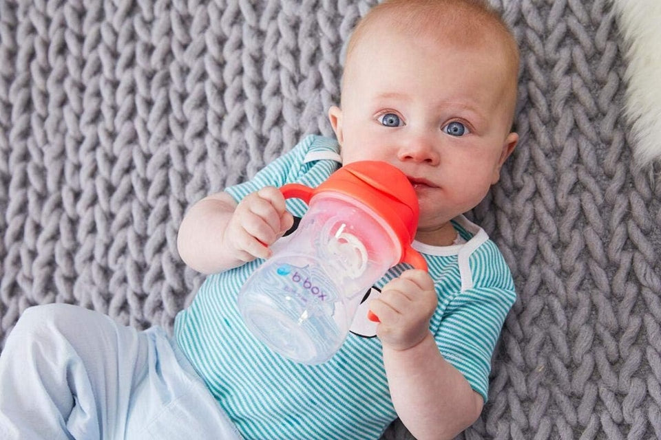 B.BOX Sippy Cup ποτηράκι που δεν στάζει 240 ml 6 m+