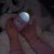 619194d248159930ecfab436cbdffb61.jpg