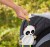 FISHER-PRICE FGH91 Κρεμαστό παιχνίδι με κουδουνίστρα για καρότσι, καθισματάκι 37 cm PANDA