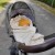 65fb33f7e359c5482d1c493a19986dcf.jpg