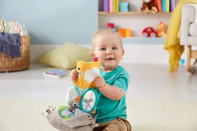FISHER-PRICE Βιβλιαράκι δραστηριοτήτων με αισθητήρα 3m+