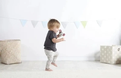 TINY LOVE wonder buddies ΠΟΝΤΙΚΑΚΙ COCO