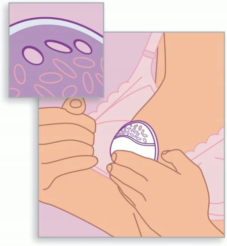 PHILIPS AVENT προστατευτικά θηλασμού