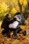 foto_add-26622.jpg