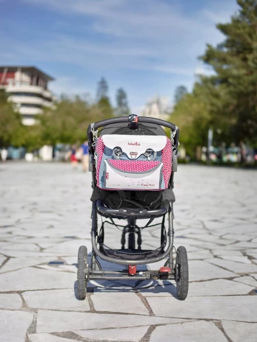 BABYMOOV τσάντα καροτσιού BABY CHIC + αλλαξιέρα